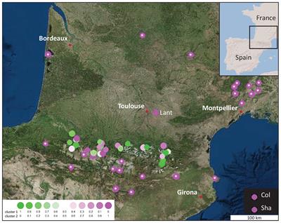 Phenotypic Trait Variation as a Response to Altitude-Related Constraints in Arabidopsis Populations